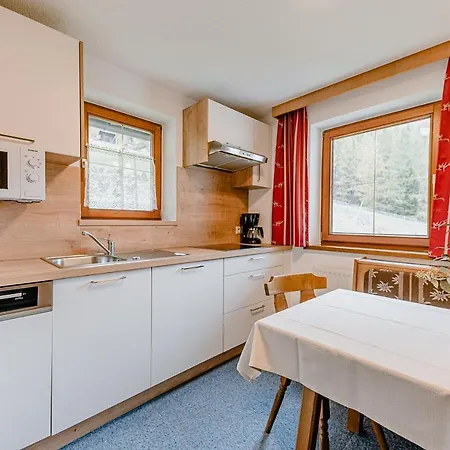 Daire Haus Crystal Sölden